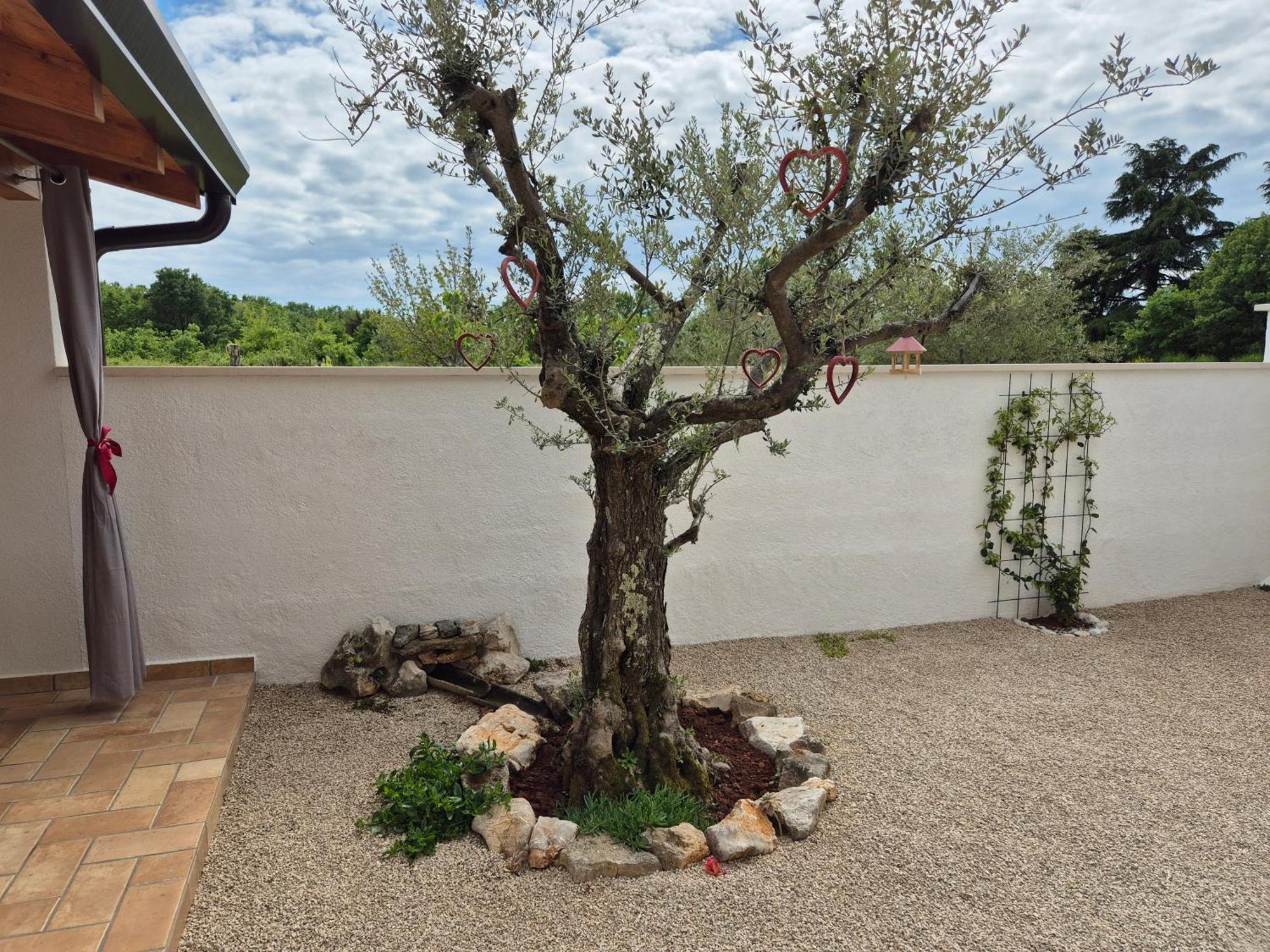 Apartment Vinja Porec - Privat Garden - Whirlpool المظهر الخارجي الصورة