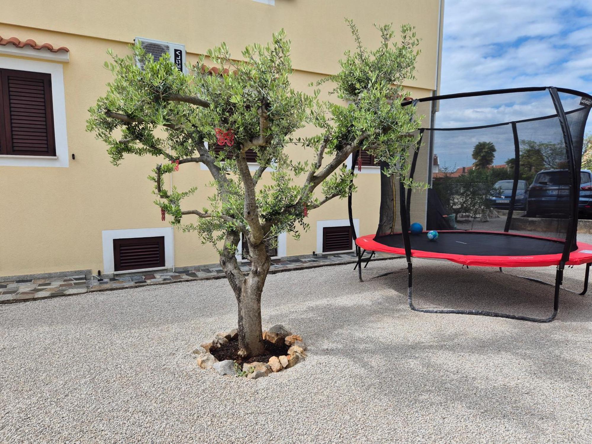 Apartment Vinja Porec - Privat Garden - Whirlpool المظهر الخارجي الصورة